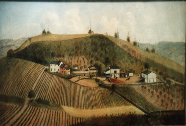 Oil Painting of farm against hill with vineyard in foreground
