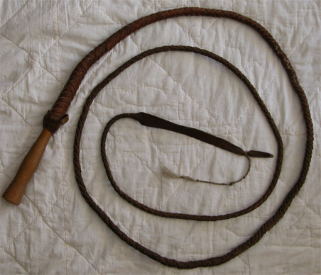 Bullwhip from Abbott Ice and Packing Plant