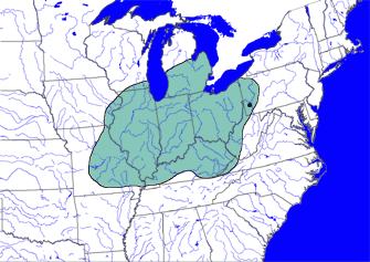 Thebes Projectile Point Distribution | Abbott-LaValle Family History